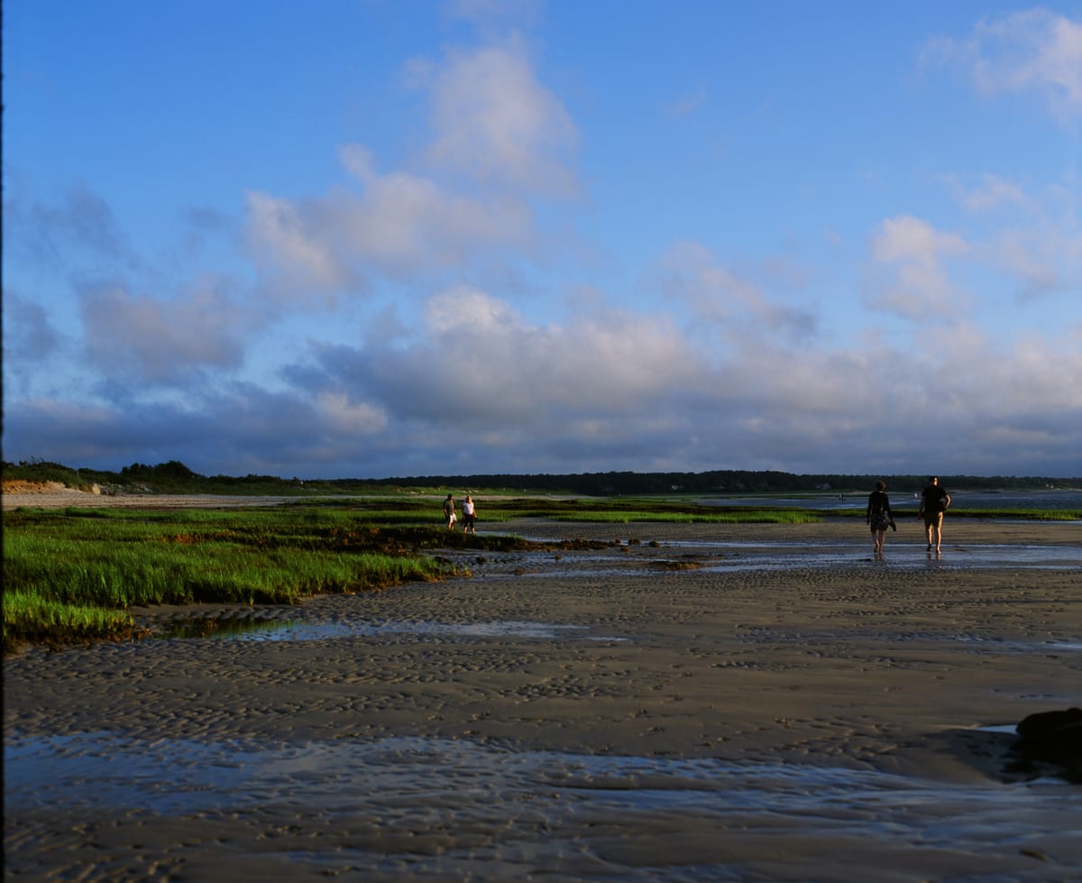 A beach at dusk, with dunes on the left, people walking at the center and the right, and the horizon line in the middle.